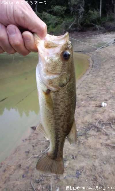 �֥�å��Х�