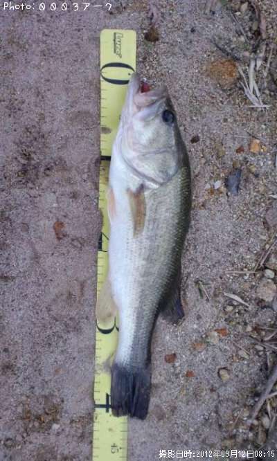 �֥�å��Х�