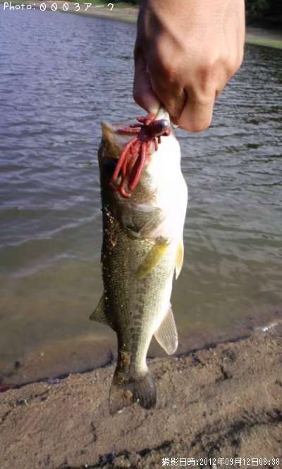 �֥�å��Х�