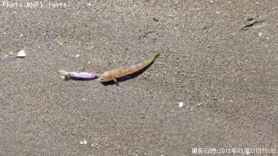 �ҥ�ᡢ�����λ�