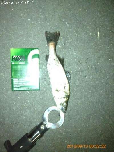 �����Х�