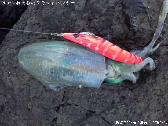 �����ꥤ��