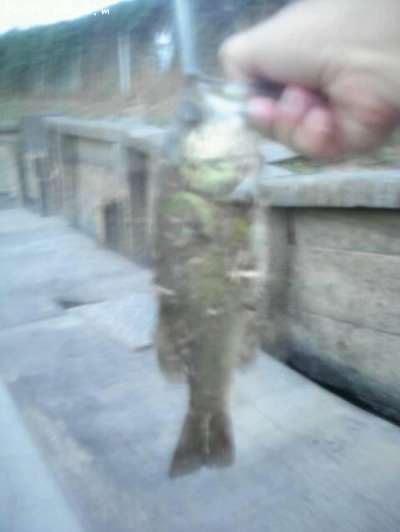 �֥�å��Х�