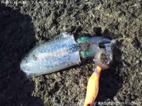 �����ꥤ��