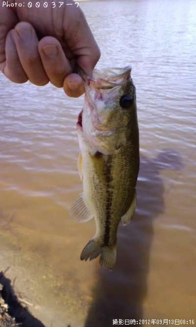 �֥�å��Х�