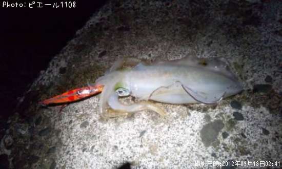 �����ꥤ��