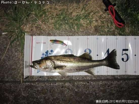 �����Х�