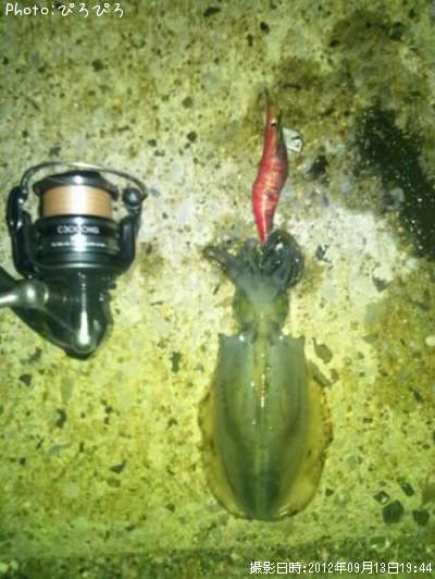 �����ꥤ��