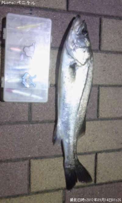 �����Х�