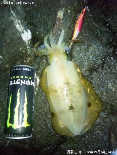 �����ꥤ��