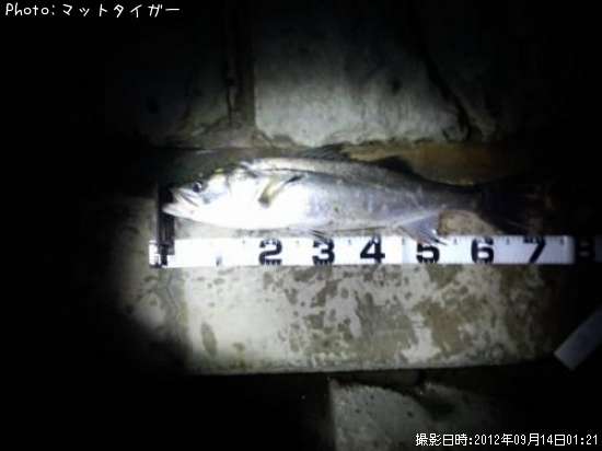 �����Х�