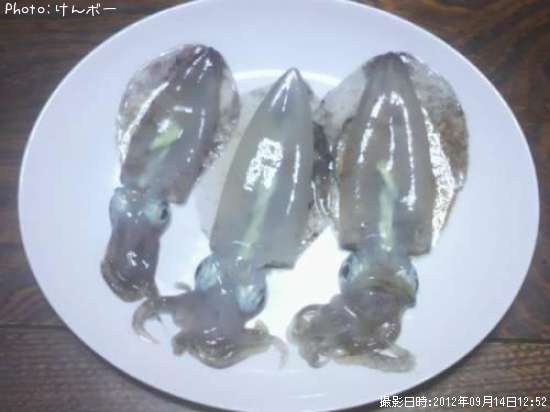 �����ꥤ��