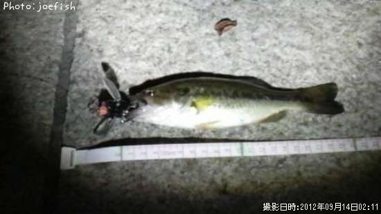 �֥�å��Х�