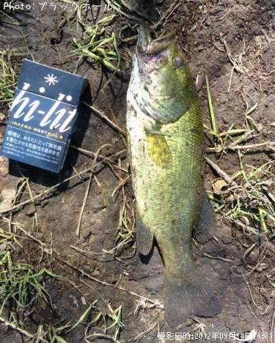 �֥�å��Х�