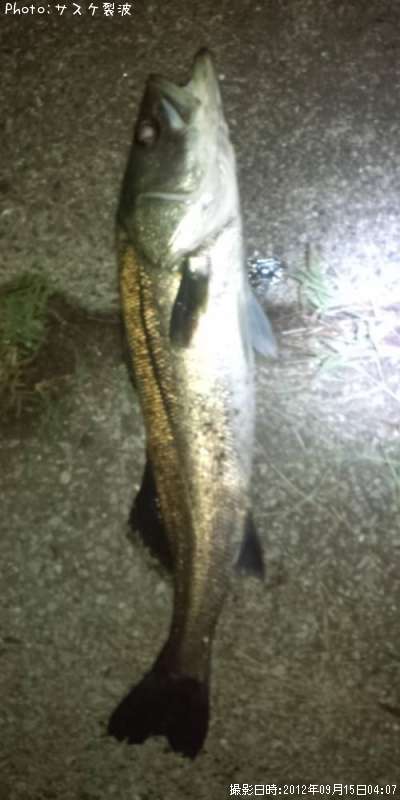 �����Х�