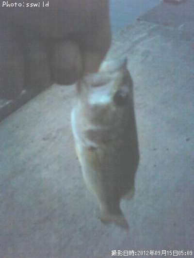 �֥�å��Х�