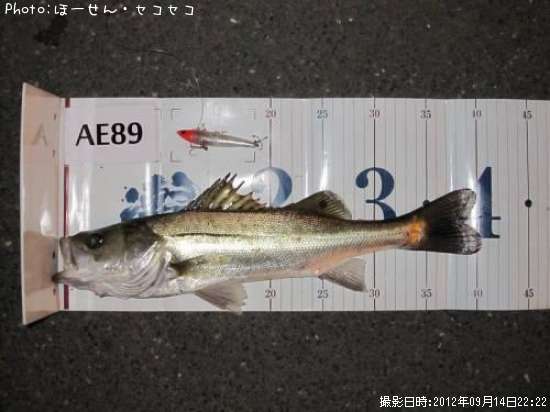 �����Х�