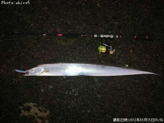 ���ӥ쥿������