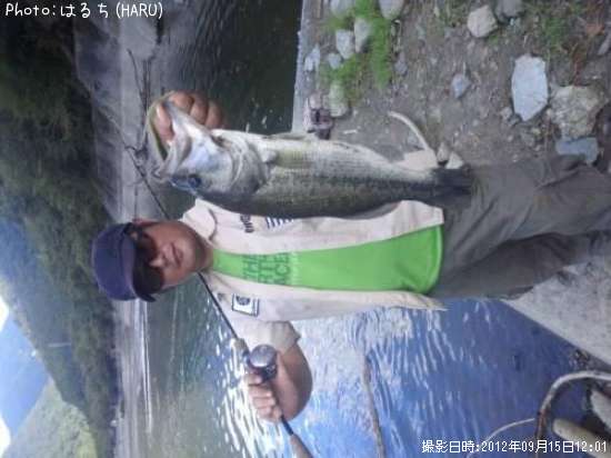 �֥�å��Х�