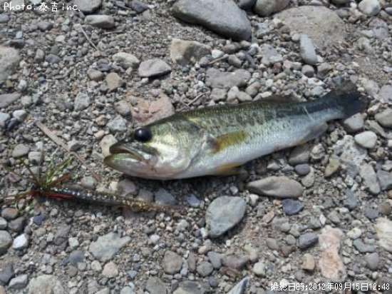 �֥�å��Х�