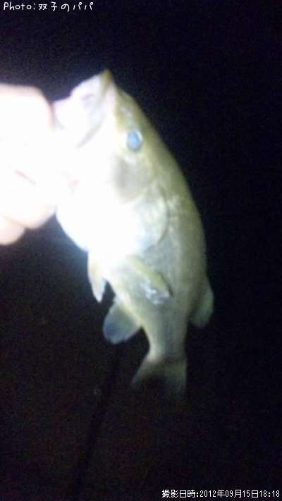 �֥�å��Х�