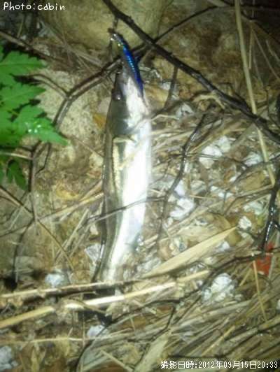 �����Х�