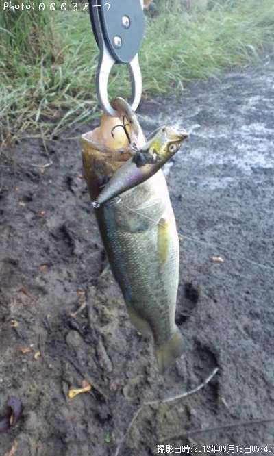 �֥�å��Х�