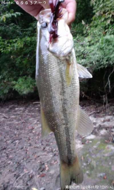 �֥�å��Х�