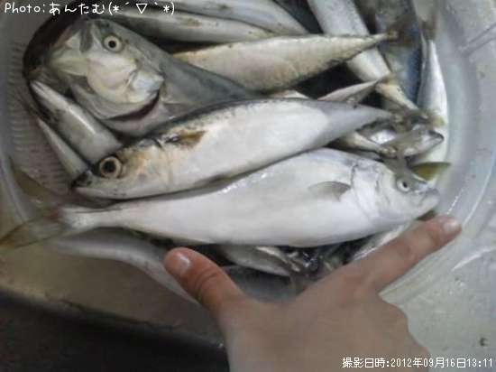 ���С��դ��餮