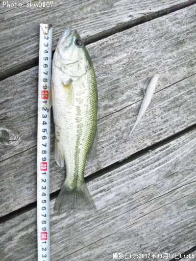 �֥�å��Х�