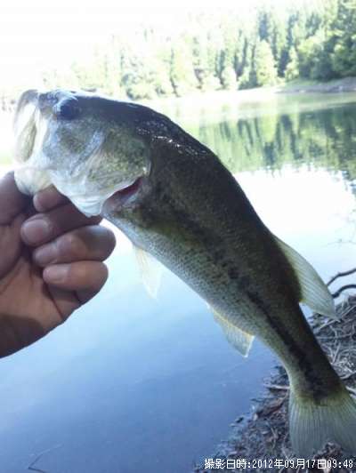 �֥�å��Х�