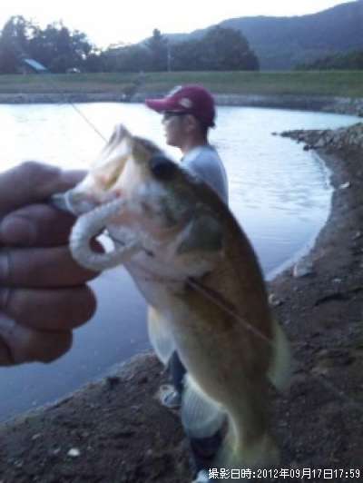 �֥�å��Х�