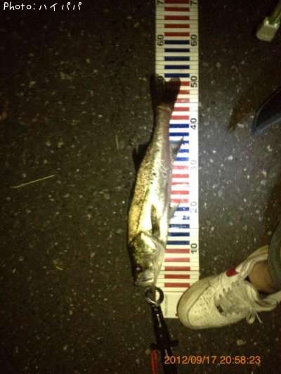 �����Х�