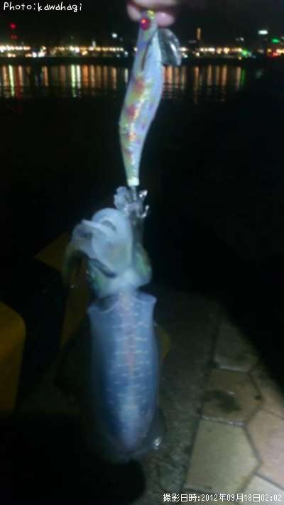 �����ꥤ��