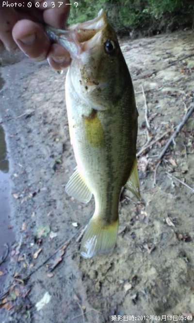 �֥�å��Х�