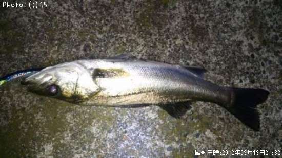 �����Х�