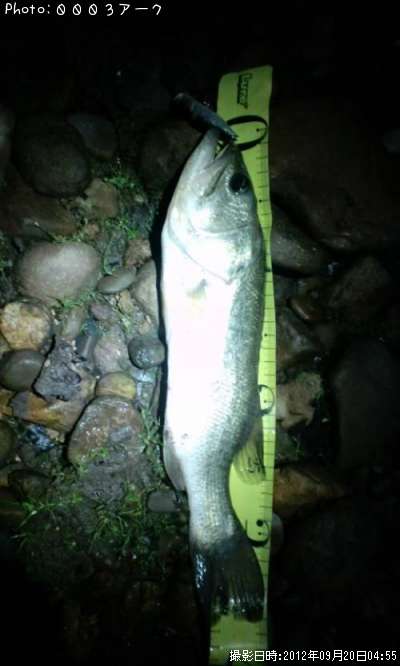 �֥�å��Х�