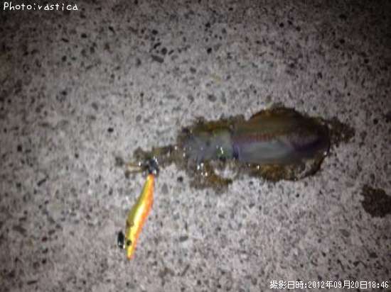 �����ꥤ��