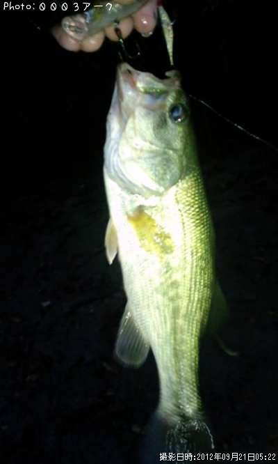 �֥�å��Х�