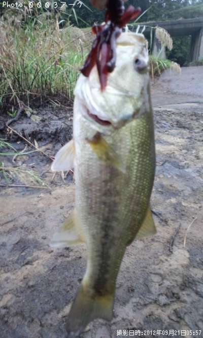 �֥�å��Х�