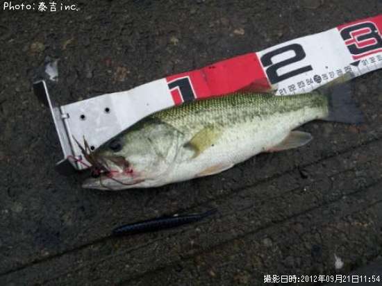 �֥�å��Х�