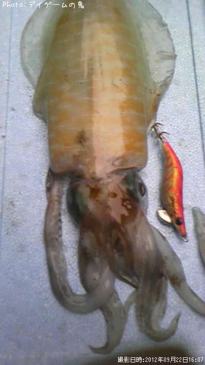 �����ꥤ��