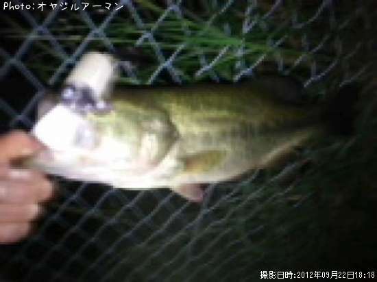 �֥�å��Х�