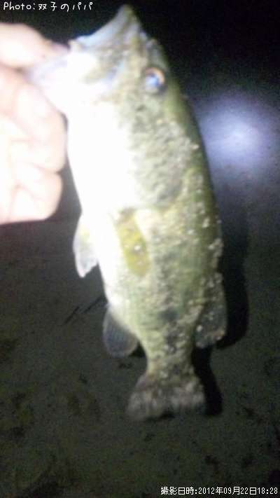 �֥�å��Х�