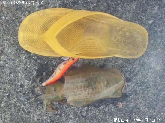 �����ꥤ��