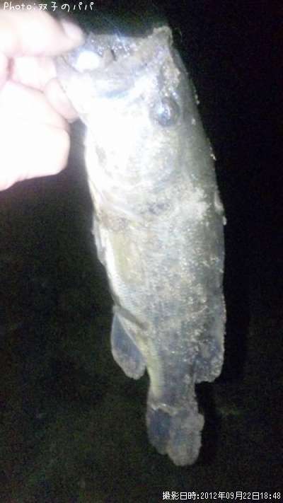 �֥�å��Х�