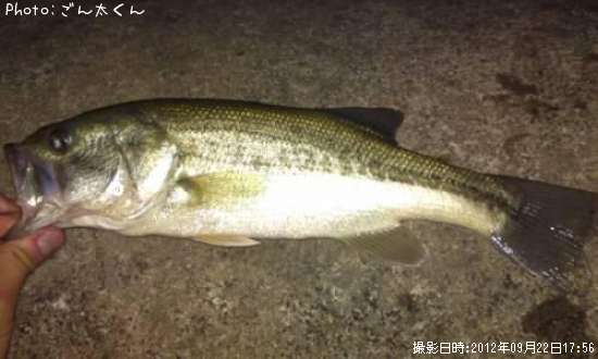 �֥�å��Х�