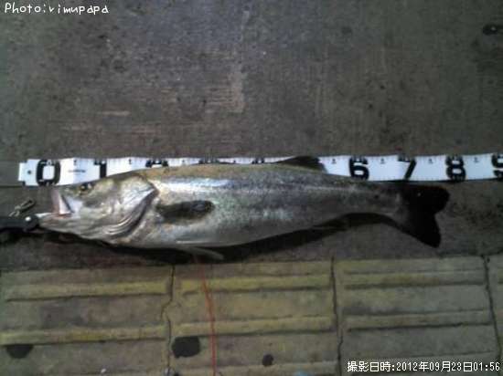 �����Х�