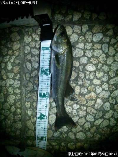 �����Х�