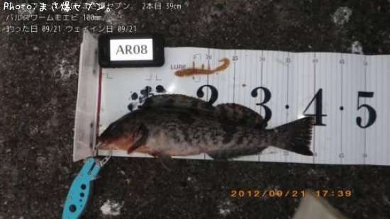 �����ʥ�